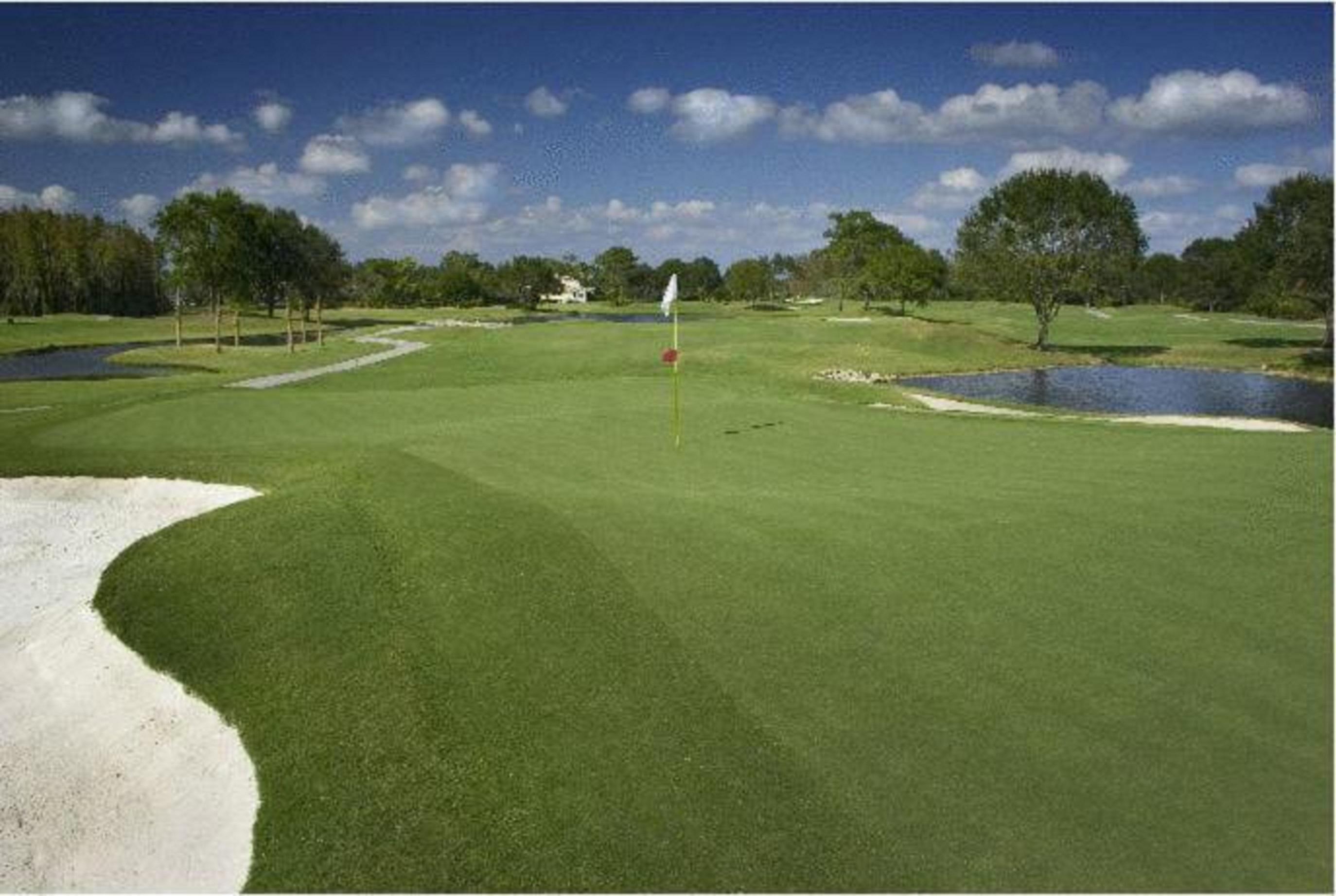 Saddlebrook Golf Resort & Spa Tampa North-Wesley Chapel Exterior foto