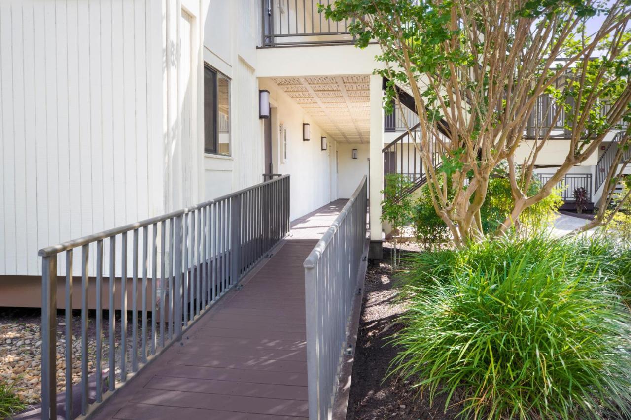 Saddlebrook Golf Resort & Spa Tampa North-Wesley Chapel Exterior foto